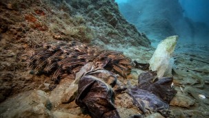 HBB DENİZLERDEKİ YAŞAMA DİKKAT ÇEKTİ