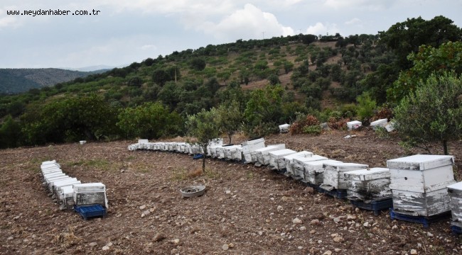 YUNUSEMRE BAL ÜRETİCİSİNİ 2023'TE DE DESTEKLEYECEK