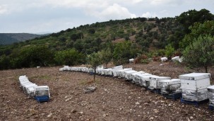 YUNUSEMRE BAL ÜRETİCİSİNİ 2023'TE DE DESTEKLEYECEK