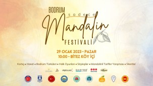 BODRUM'DA, "SADECE MANDALİN FESTİVALİ 2023"