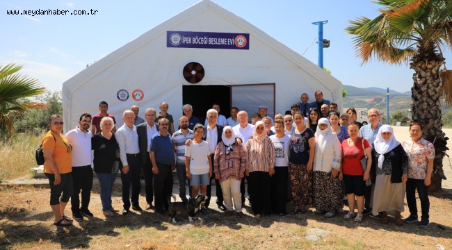 Büyükşehir Dut Fidanı Üretiyor, İpekböcekçiliğini Destekliyor