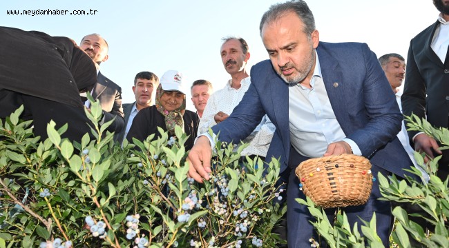 Büyükşehir'in tarlada izi var