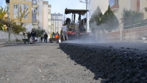 Gebizli'de hummalı çalışma