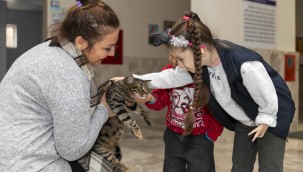 MİNİK ELA'YA 'KEDİ EVİ' SÜRPRİZİ