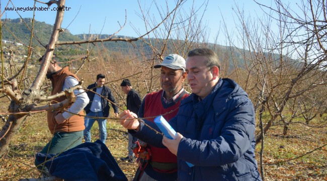 Yenişehir Belediyesi çiftçiye tarlada eğitim veriyor