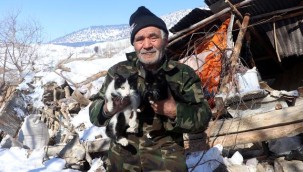 Depremde eşini kaybetti 4 kedisini kurtardı