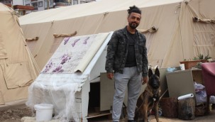Depremden hemen önce tüm aileyi uyandıran 'Şila' çadır kentin maskotu oldu