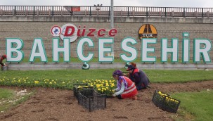 DÜZCE ÇİÇEKLENDİ