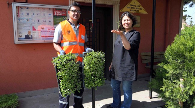 Tarımsal üretime teşvik