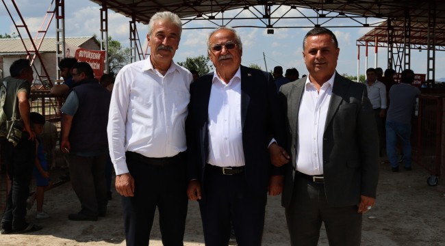 3'ünün kimliğinde doğum yeri 'Çal' yazıyor, 3 farklı ilçeyi yönetiyorlar.