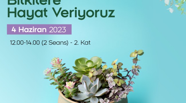 BU YAZ, ÇİÇEKLERLE KARŞILANACAK…