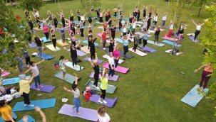 Haydi kadınlar spora