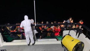 Muğla, İzmir ve Çanakkale'de 220 düzensiz göçmen yakalandı