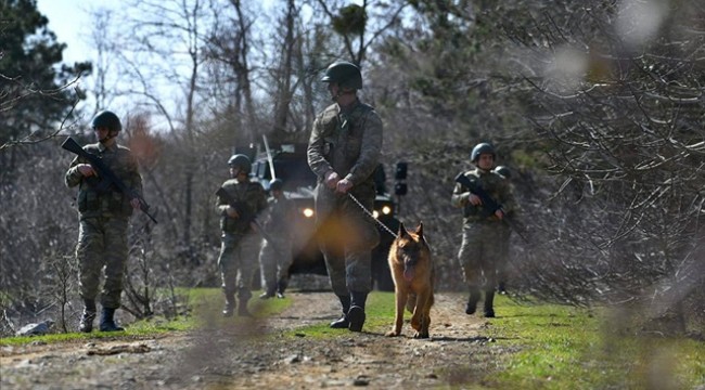 Yunanistan sınırında 17 terör örgütü üyesi yakalandı