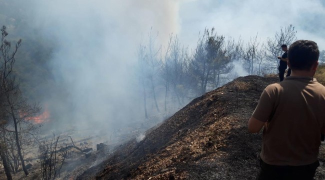 İzmir'in Kemalpaşa ve Menemen ilçelerinde orman yangını