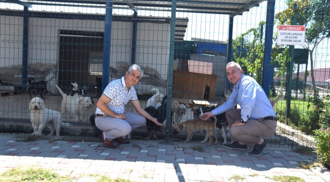 Adana Hayvan Bakımevine Ziyaret!