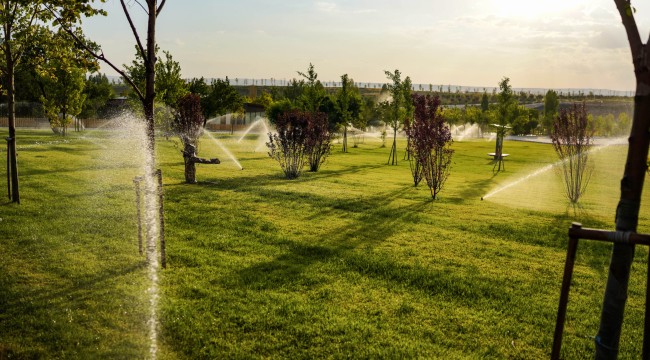 BOZKIRDA YEŞİLİN HİKÂYESİ: ANKARA BÜYÜKŞEHİR BELEDİYESİNDEN TÜRKİYE'NİN EN BÜYÜK TARIM KAMPÜSÜ VE REKREASYON ALANI