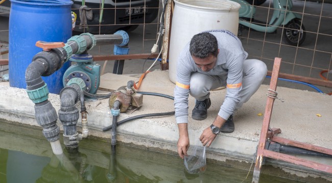 BÜYÜKŞEHİR'DEN SİVRİSİNEKLE MÜCADELEDE ETKİLİ YÖNTEM