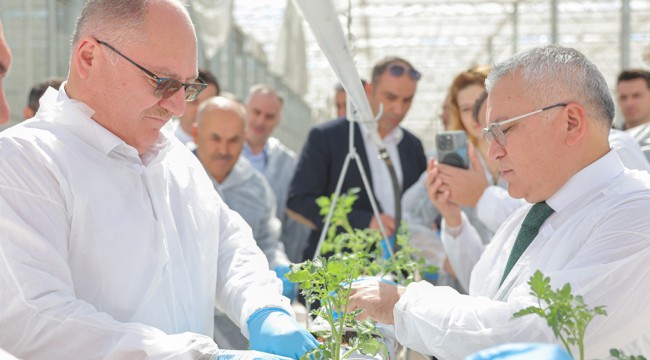 ÇÖPTEN ENERJİ VE ISI ÜRETİLEREK 2 BİN TON DOMATES YETİŞTİRİLECEK…