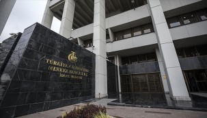 Merkez Bankası'ndan iki yeni faaliyet izni