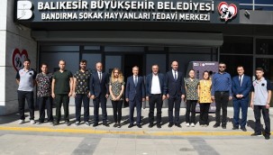 Bandırma'da yüzlerce sokak hayvanına şifa olduk