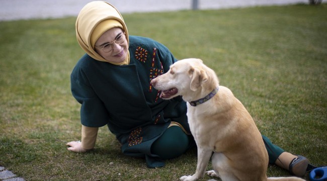 Emine Erdoğan: Hayvanları korumak vicdani yükümlülüğümüzdür