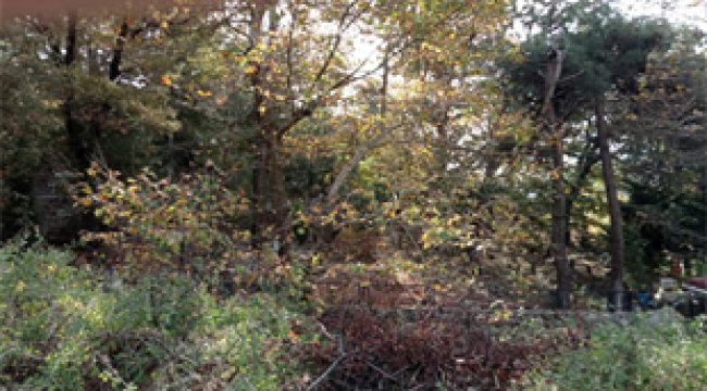 Kemalpaşa için iki yeni mezarlık alanı