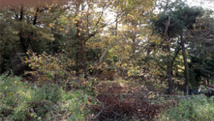 Kemalpaşa için iki yeni mezarlık alanı