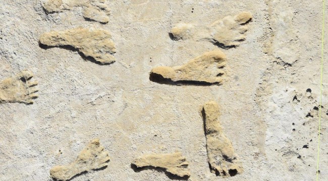 Kuzey Amerika'daki en eski insan ayak izleri en az 21 bin 500 yıllık