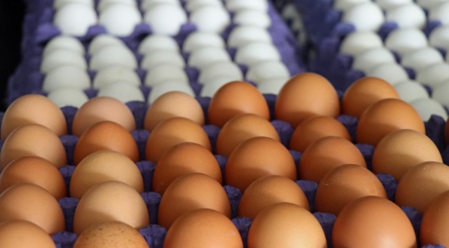 Yumurta sektöründe fiyat istikrarını bozan firmalara 98 milyon lira ceza