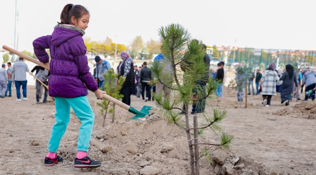 SİNCAN'DA FİDANLAR TOPRAKLA BULUŞTU