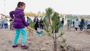 SİNCAN'DA FİDANLAR TOPRAKLA BULUŞTU