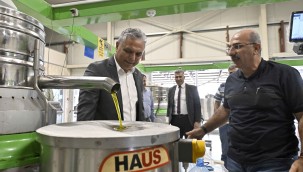 Uysal, 'Zeytin rekoltemizi arttırmamız lazım'