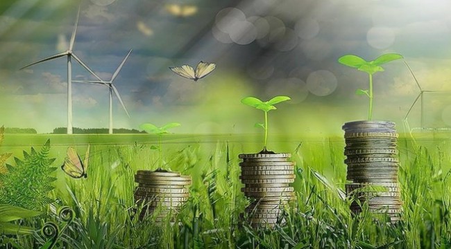 Yeşil dönüşümün finansmanı için "Türkiye Yeşil Fonu" kurulacak