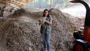 Yeşil ekonomiyi anlatacaklar