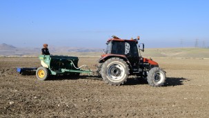 Çiftçinin Yüzünü Güldürecek Ekim