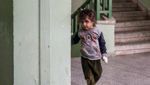 Gazzelilerin çürüyen yaraları, sirke ve klor ile tedavi ediliyor