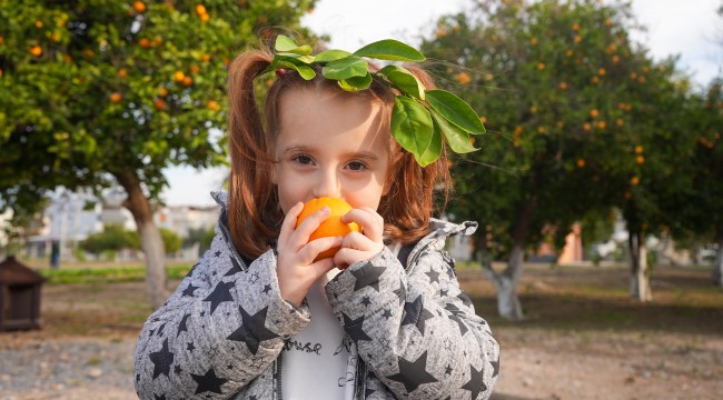 TARSUSLU MİNİKLER, TARIM YAŞAM ALANI VE TARIM MÜZESİ'NDE PORTAKAL HASADI YAPTI