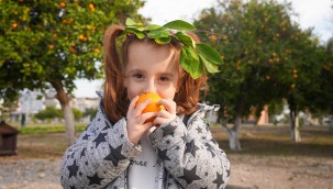 TARSUSLU MİNİKLER, TARIM YAŞAM ALANI VE TARIM MÜZESİ'NDE PORTAKAL HASADI YAPTI