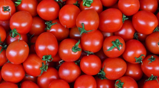 ANKARALILAR 2023 YILINDA EN ÇOK DOMATES VE KARPUZ TÜKETTİ