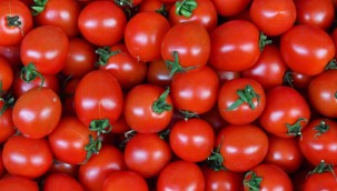 ANKARALILAR 2023 YILINDA EN ÇOK DOMATES VE KARPUZ TÜKETTİ