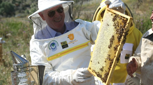 Arıköy Arıcılık Eğitimi başvuruları 16 Şubat'a kadar uzatıldı
