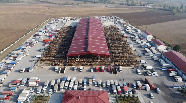 Çorum'da hayvan pazarı geçici olarak kapatıldı