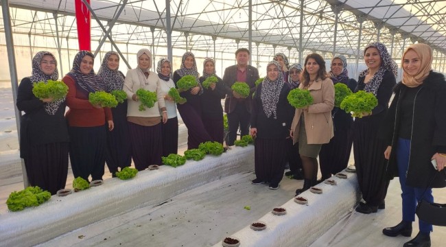 ​​​​​​​Topraksız tarım projesine kadın çiftçilerden yoğun ilgi