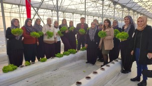 ​​​​​​​Topraksız tarım projesine kadın çiftçilerden yoğun ilgi