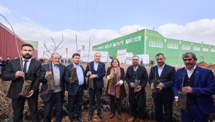 BÜYÜKŞEHİR'DEN BÖLGEYE UYUMLU FISTIK, NAR, ÜZÜM VE İNCİR FİDANI DESTEĞİ