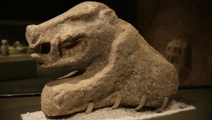 Neolitik döneme ait 81 eser ilk kez teşhir edilecek