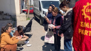 EMEĞİN ADAYI GEDİZ'DE