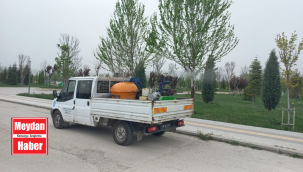 Çorum Belediyesi, vektörel mücadeleye erken başladı