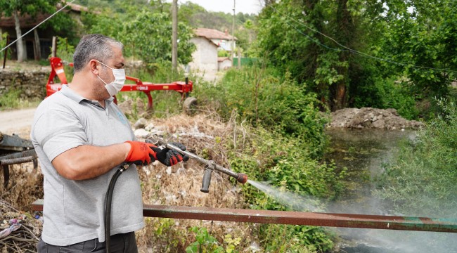 Altıeylül Belediyesi'nden Sivrisinek Ve Haşerelere Karşı İlaçlama
